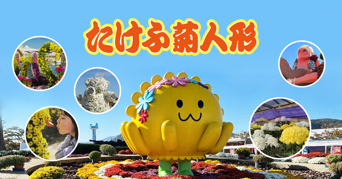 第74回2025たけふ菊人形
